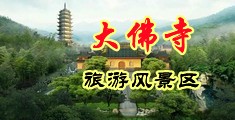 艹逼小骚逼好爽啊视频中国浙江-新昌大佛寺旅游风景区